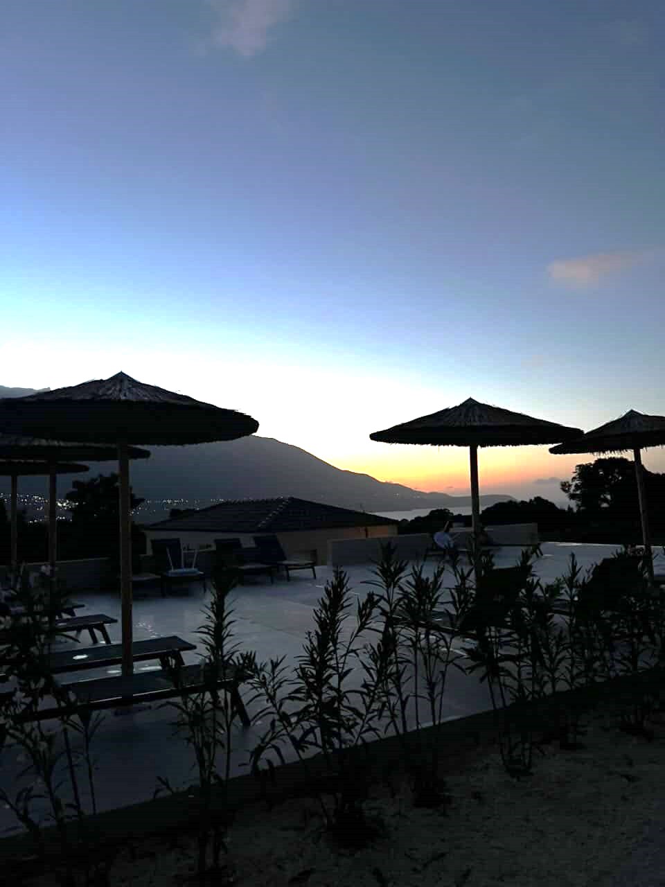 View